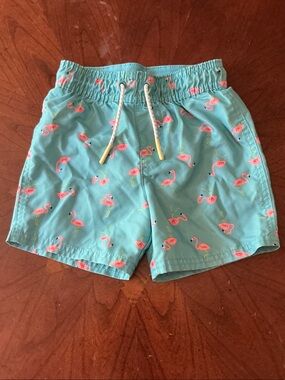 Cat & Jack - Aqua Swim Shorts with Pink Flamingo Print
